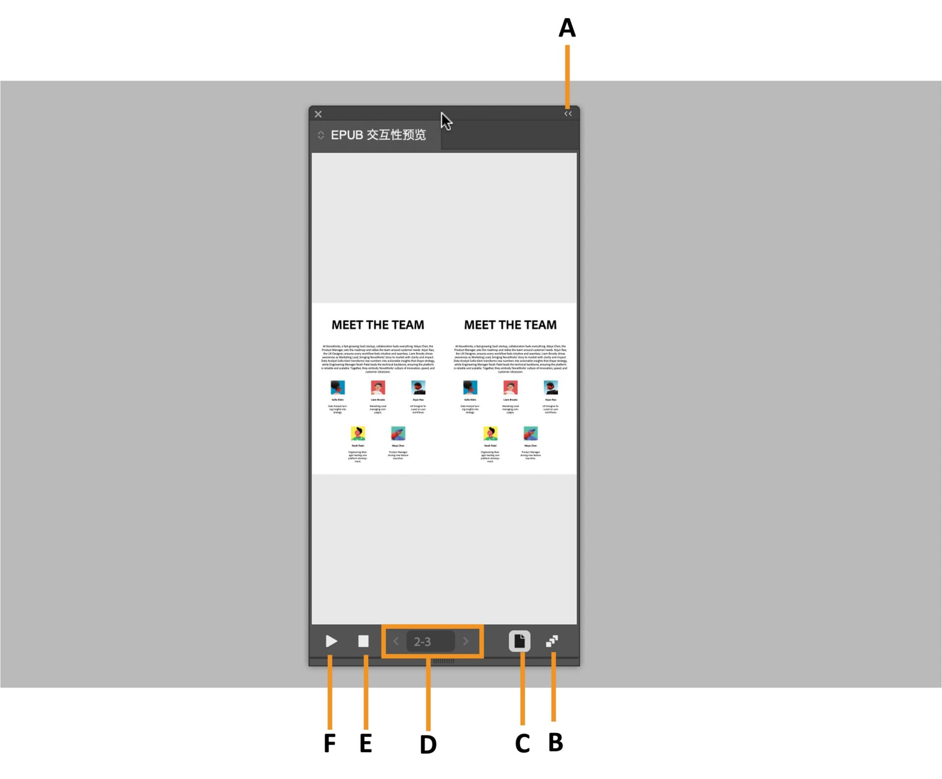 “EPUB 预览”面板，其中突出显示了各种选项