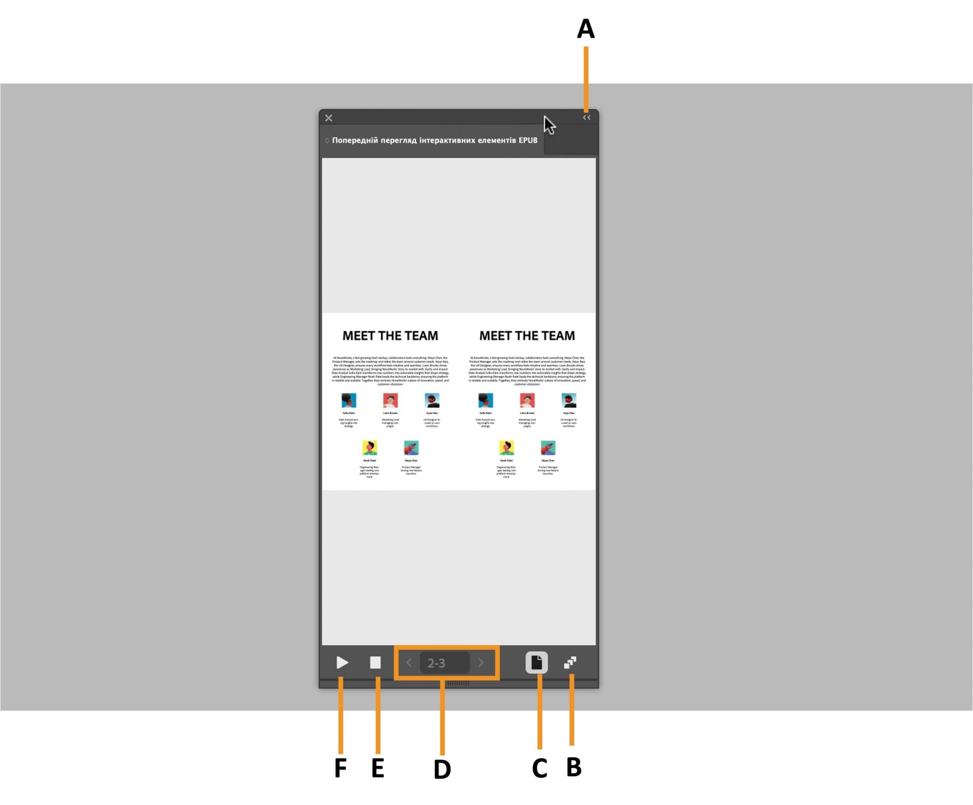 Панель перегляду EPUB з виділеними різними можливостями