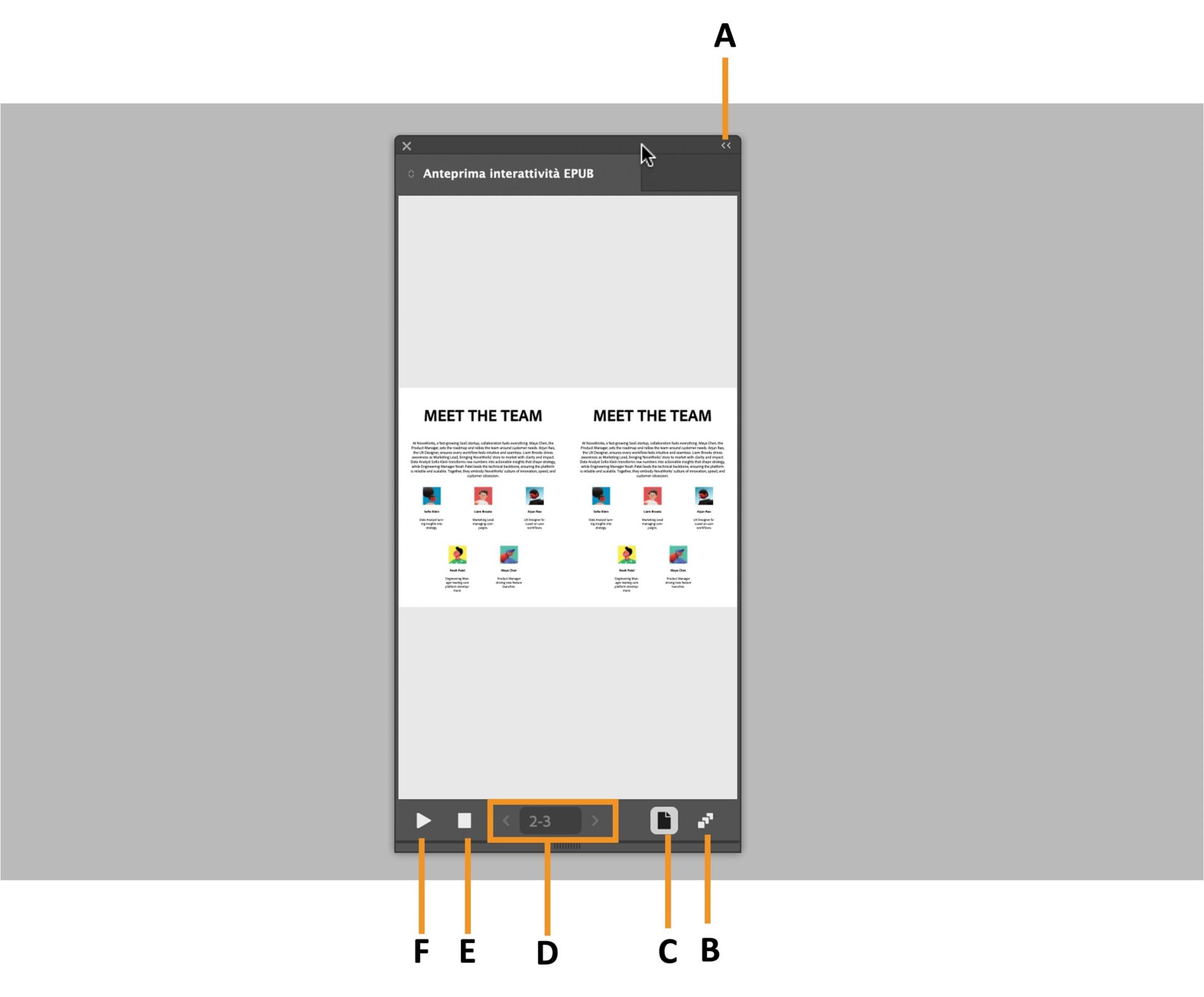 Pannello Anteprima EPUB che evidenzia varie opzioni