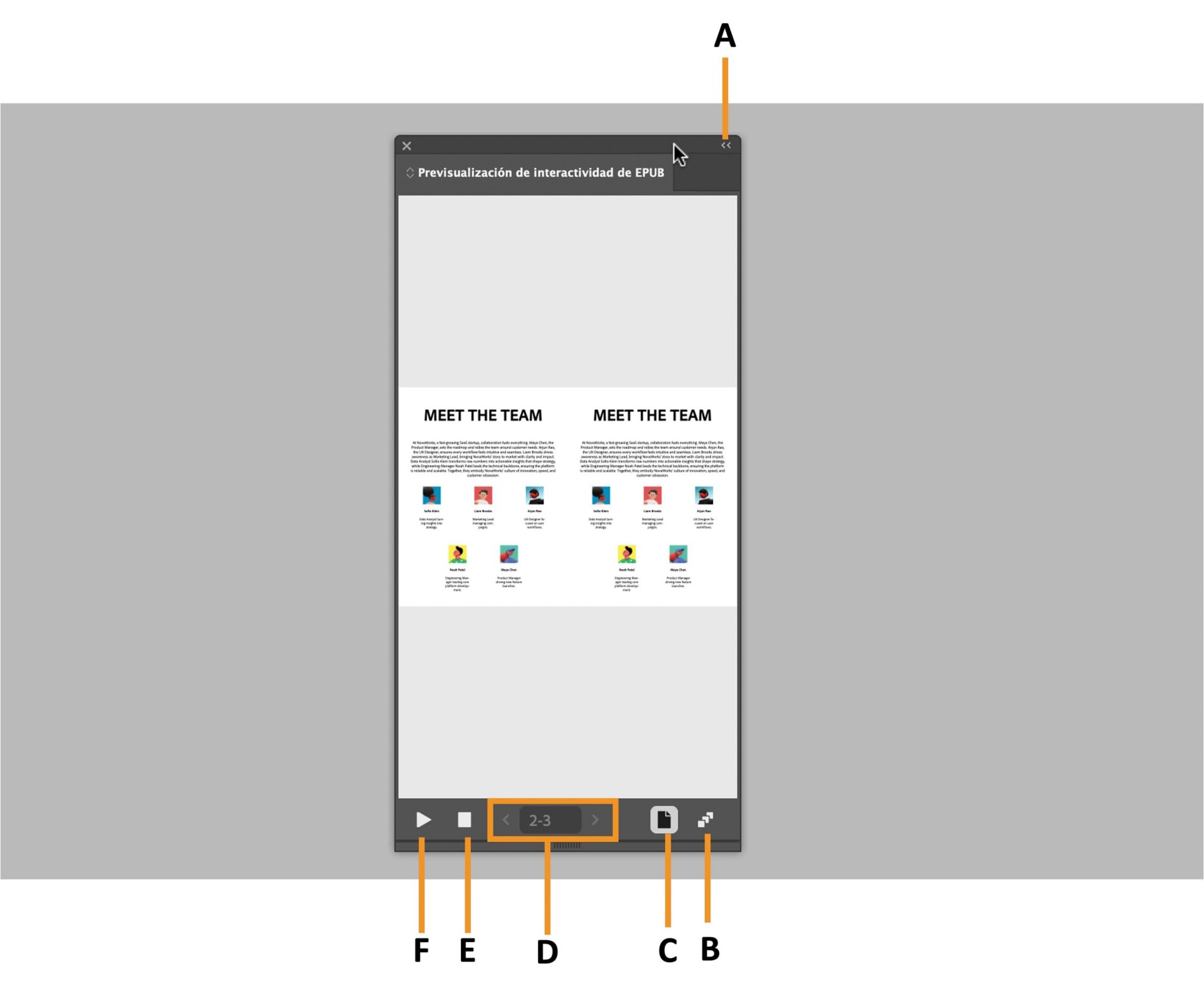 Panel de vista previa de EPUB resaltando varias options