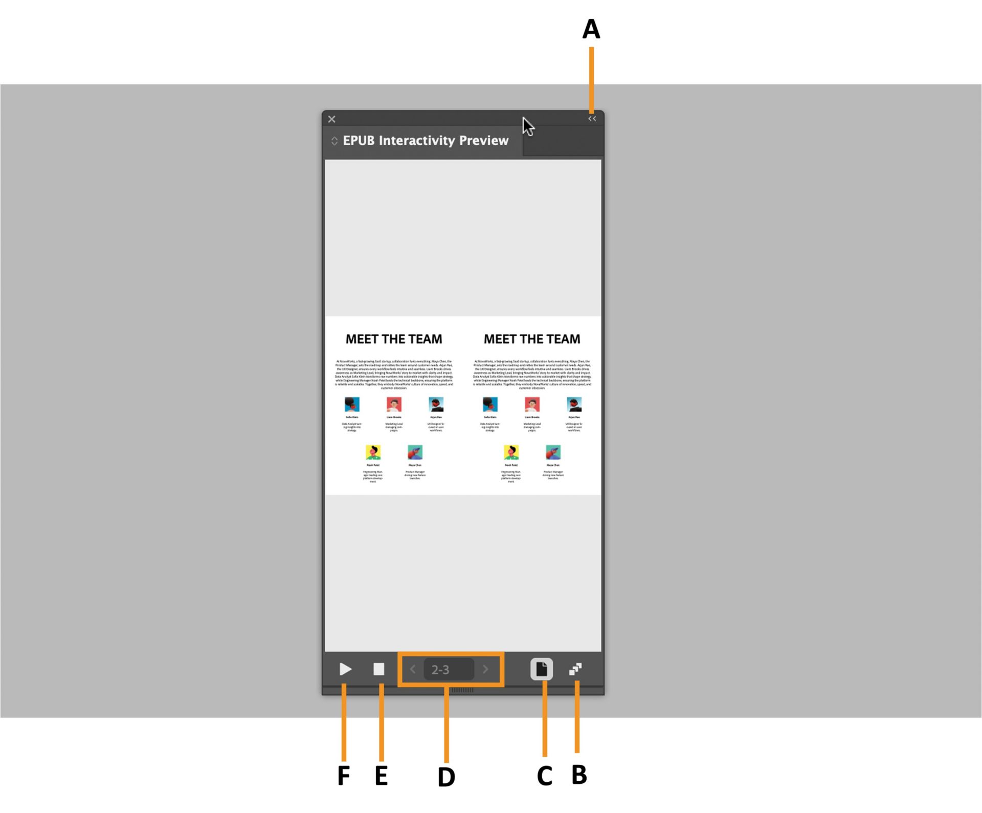 הלוח Preview של EPUB המדגיש אפשרויות שונות