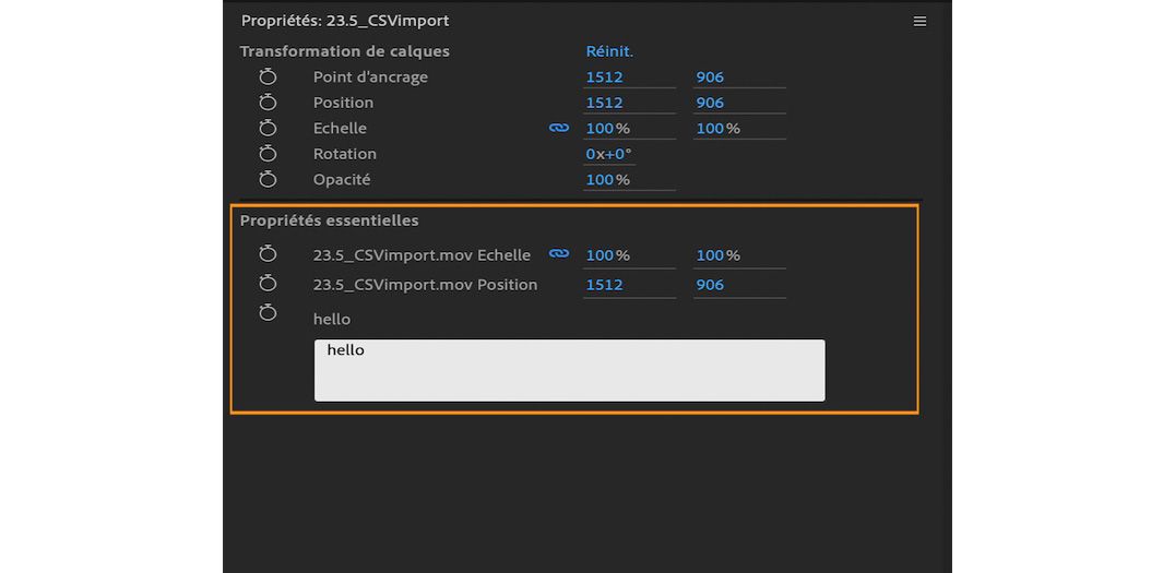 Propriétés essentielles dans le panneau Propriétés.