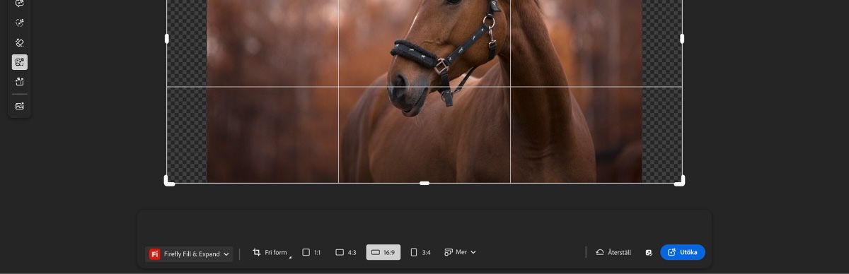 Skärmen för generativ utökning visar en bild med beskärningshandtag och alternativet Liggande valt bland en mängd olika bildförhållanden.