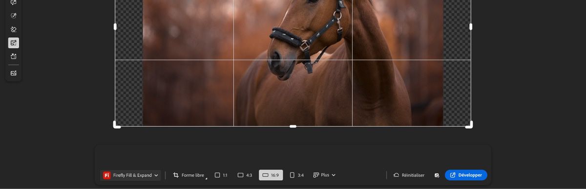 L’écran Développement génératif affiche une image avec des poignées de recadrage et l’option Paysage sélectionnée parmi une variété de rapports L/H.