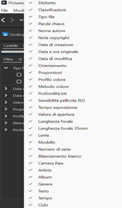 Esplorate il pannello Filtro in Adobe Bridge.