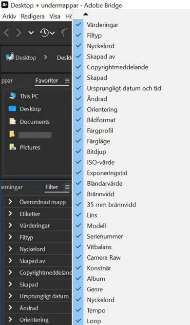 Utforska filterpanelen i Adobe Bridge.