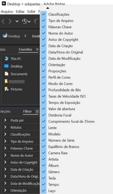 Explore o painel Filtro no Adobe Bridge.