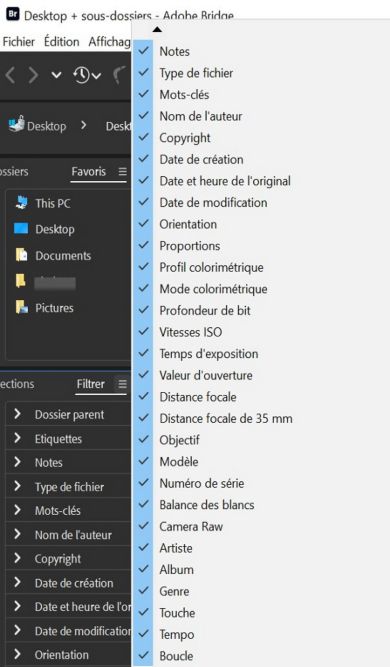 Explorez le panneau Filtre dans Adobe Bridge.
