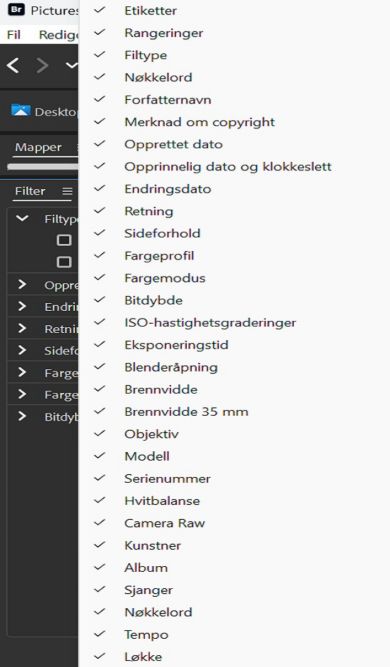 Utforsk Filter-panelet i Adobe Bridge.
