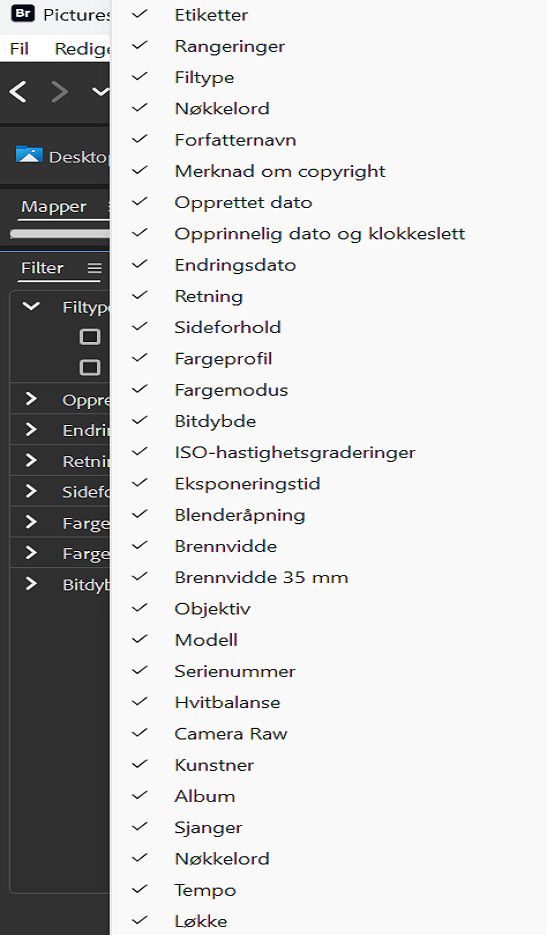 Utforsk Filter-panelet i Adobe Bridge.