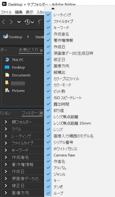 Adobe Bridge で、フィルターパネルを確認します。