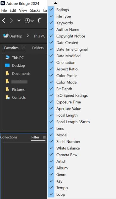 Adobe Bridge에서 필터 패널을 살펴보세요.