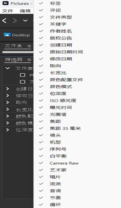 浏览 Adobe Bridge 中的“筛选器”面板。
