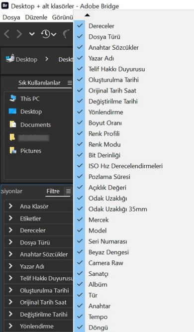 Adobe Bridge'deki Filtre panelini keşfedin.