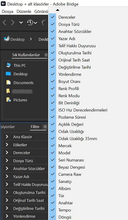 Adobe Bridge'deki Filtre panelini keşfedin.
