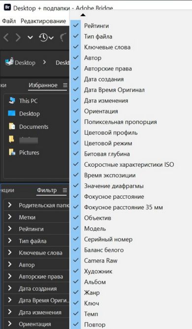 Изучите возможности панели «Фильтр» в Adobe Bridge.