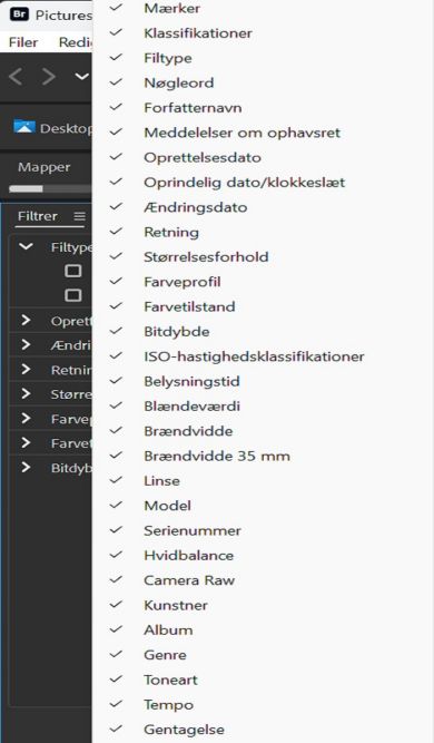 Se panelet Filter i Adobe Bridge.