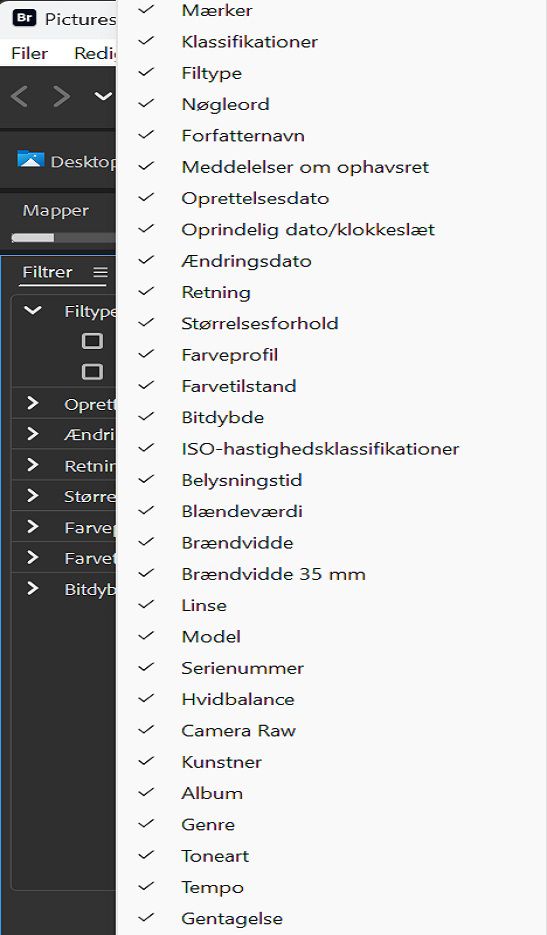 Se panelet Filter i Adobe Bridge.