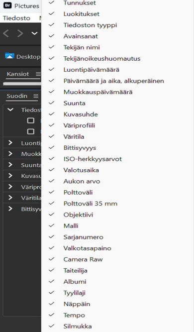 Tutustu Adobe Bridgen Suodatin-paneeliin.