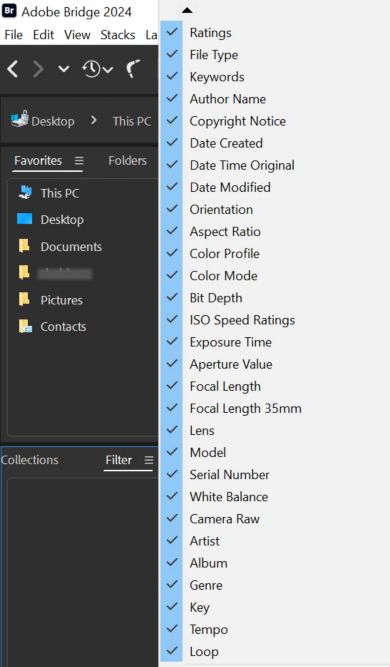 Explore Filter panel in Adobe Bridge.