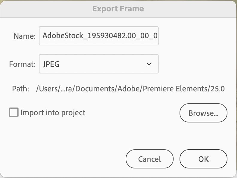 Export dialog