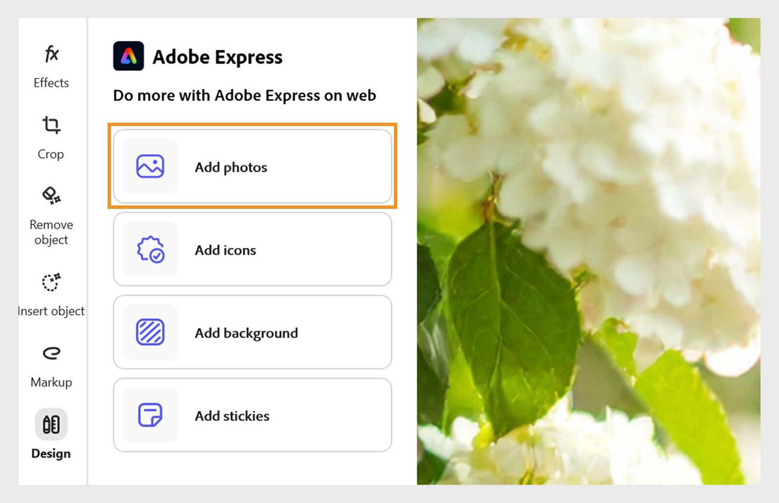 Adobe Express-grænseflade, der viser sektionen Design med funktionen til tilføjelse af tekst fremhævet samt yderligere funktioner til tilføjelse af klistermærker og baggrunde, som kan bruges under redigering af et eksporteret billede.
