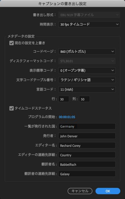 キャプションの書き出し設定