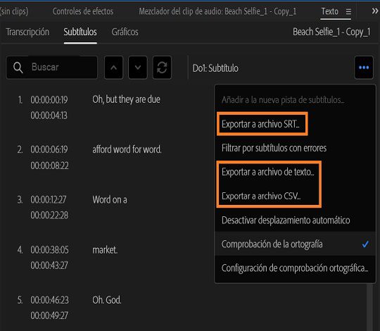 Ajustes de exportación de subtítulos