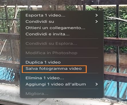 Esportare un fotogramma dal video in Lightroom.