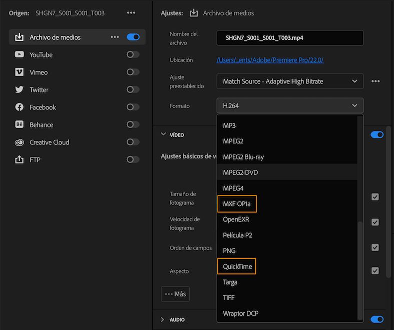 Selección del formato