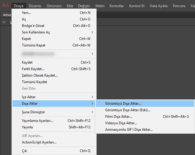 Görüntüyü dışa aktarma