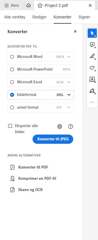 Velg bildeformat som skal eksporteres som bilder.