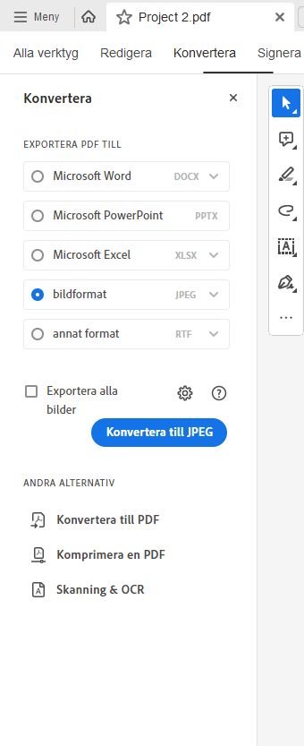Välj bildformat för att exportera som bilder.