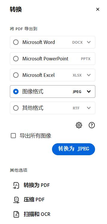 选择要导出为图像的图像格式。