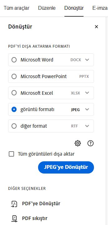 Görüntü olarak dışa aktarılacak görüntü formatını seçin.