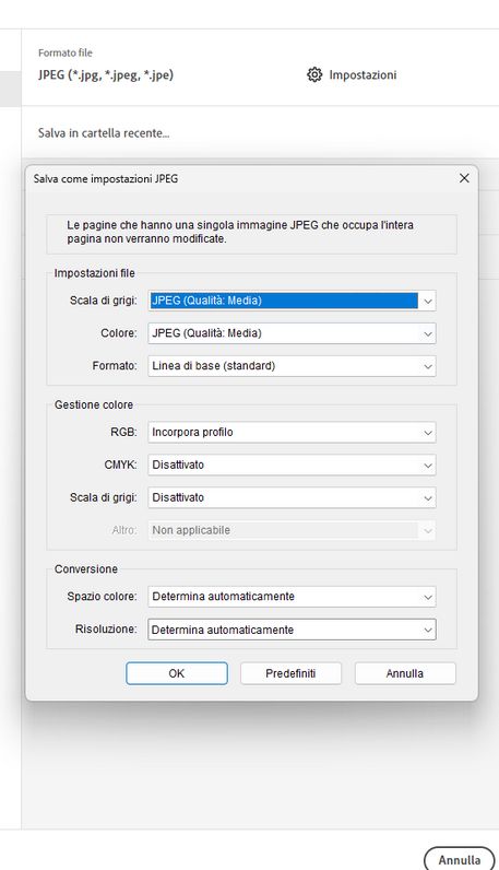 impostazioni di esportazione immagine