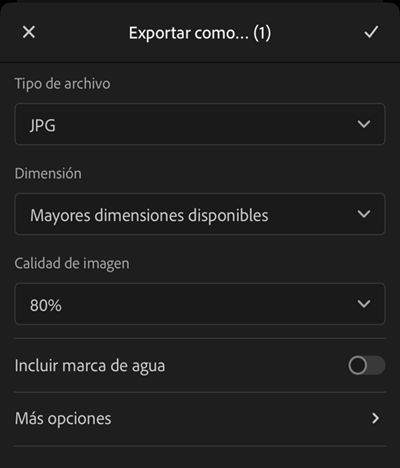 Opciones de exportación