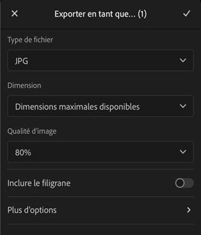 Options d’exportation