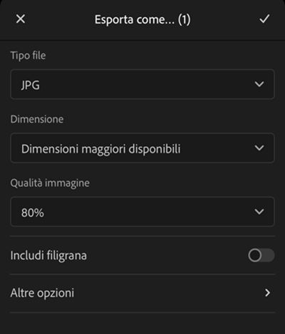 Opzioni di esportazione