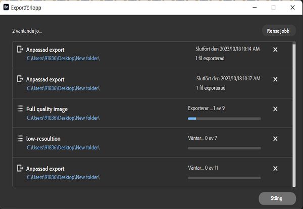Visa status för dina exportjobb i fönstret Exportstatus. 