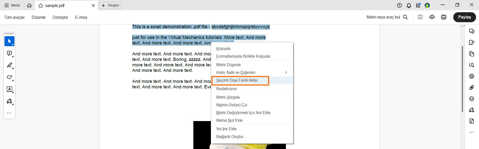 Belirli bir metni seçin ve ardından Seçimi dışa farklı aktar seçeneğini belirleyin