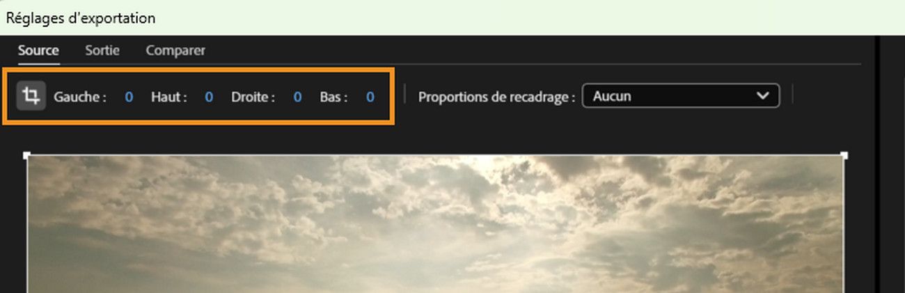 L'onglet Source est sélectionné et l'icône Recadrer la vidéo de sortie est actif pour ajuster les valeurs Gauche, Haut, Droite et Bas pour le recadrage.