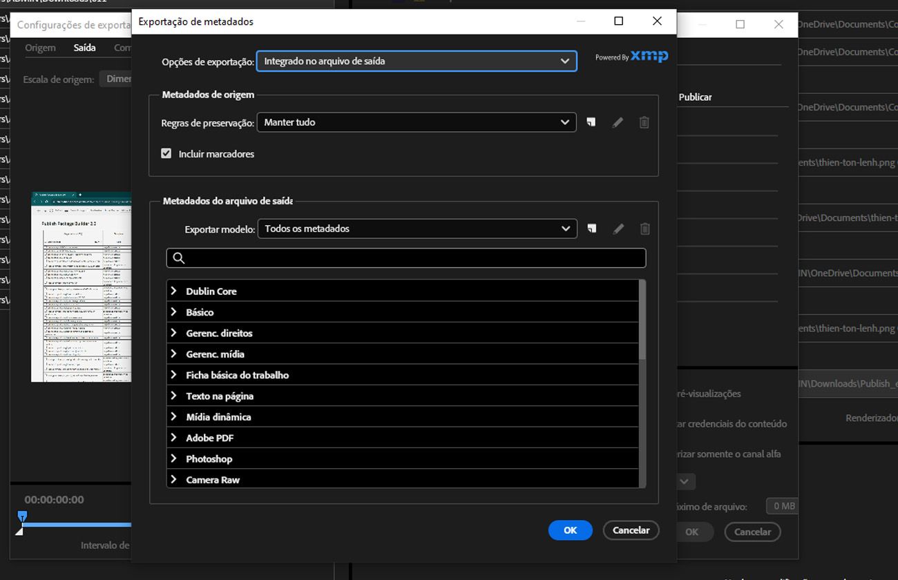A caixa de diálogo Exportação de metadados está aberta e exibe opções para incluir, excluir ou personalizar metadados para o arquivo exportado.