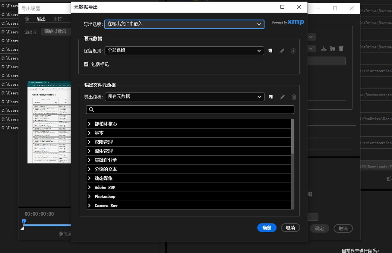 元数据导出对话框已打开，显示在导出文件中包含、排除或自定义元数据的选项。