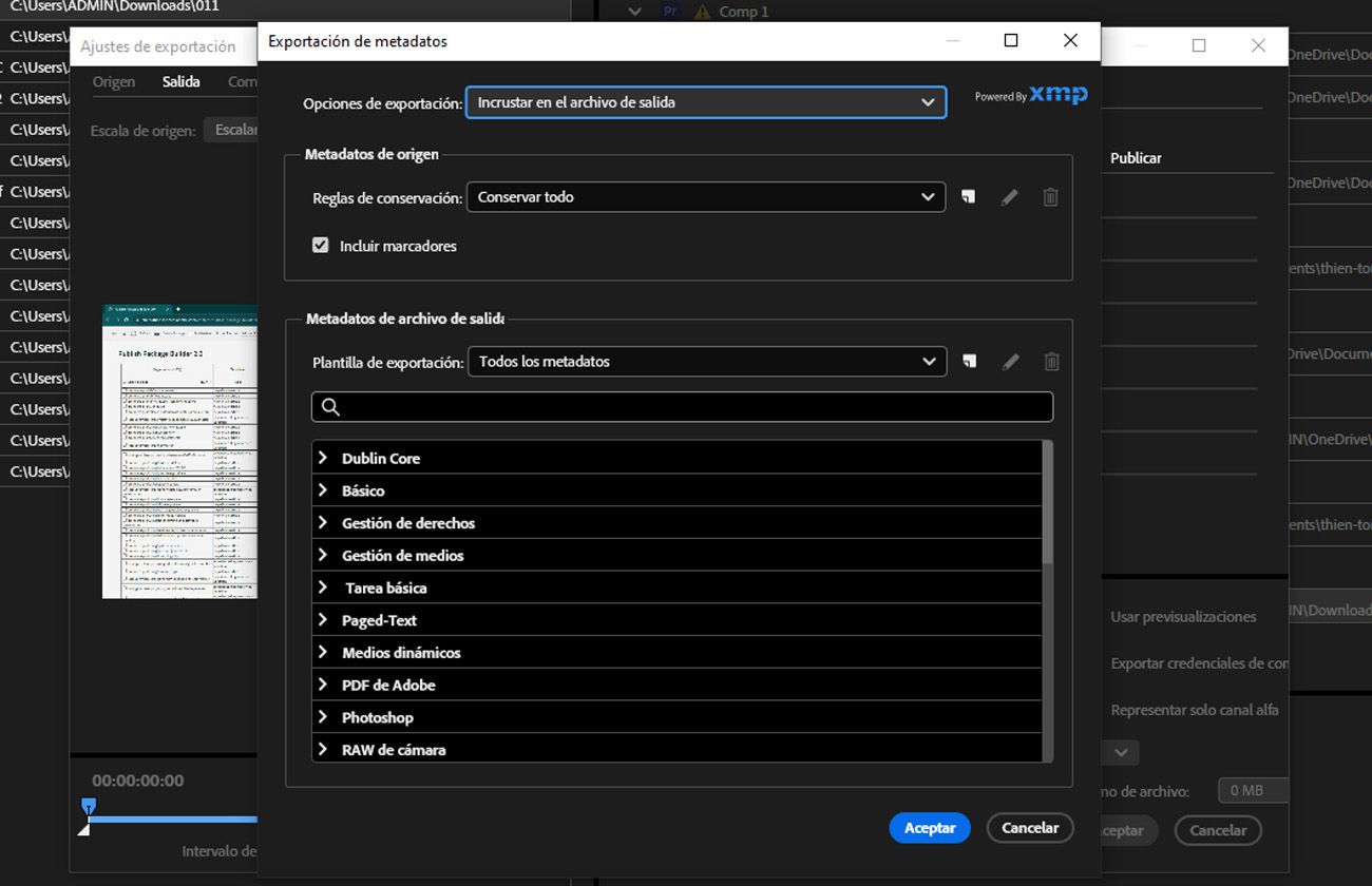 El cuadro de diálogo Exportación de metadatos está abierto y muestra options para incluir, excluir o personalizar metadatos para el archivo exportado.