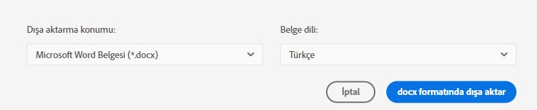 Dosya formatını ve belge dilini seçin