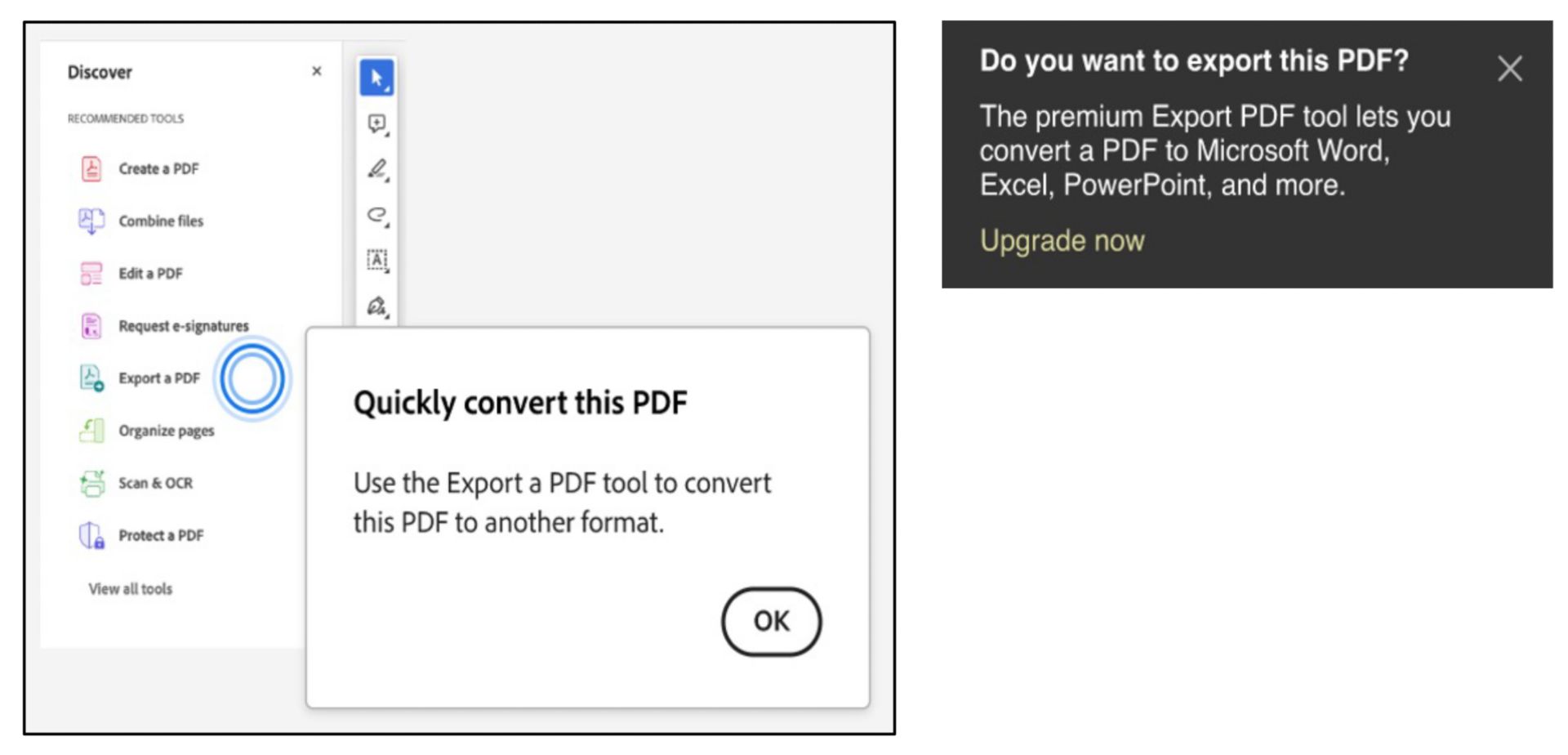 التوجيه لاستخدام أداة Export عند تحديد نص