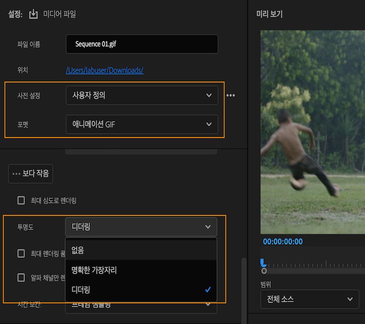 투명도로 GIF 내보내기를 활성화하는 옵션