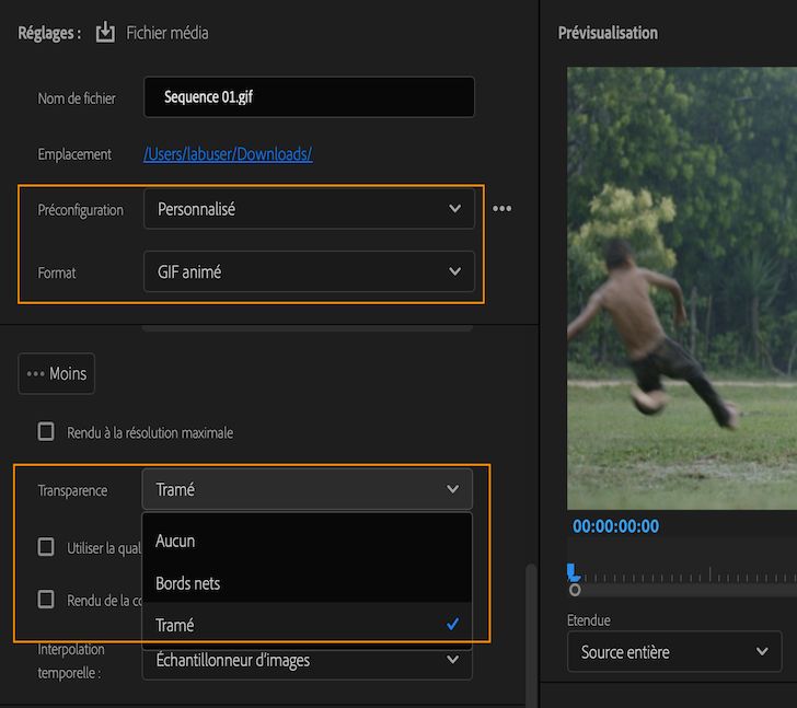Options pour exporter des fichiers GIF avec transparence