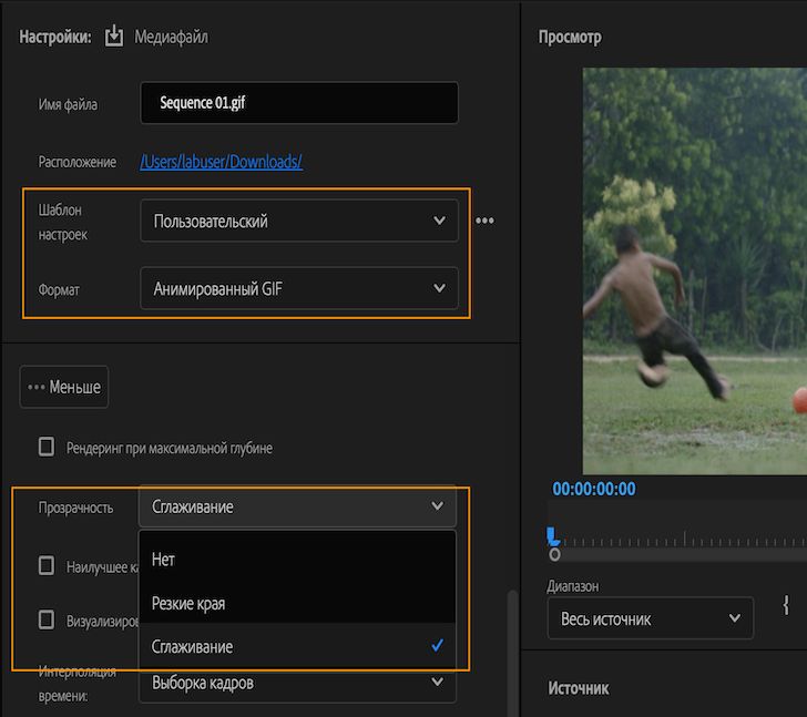 Параметры для включения экспорта GIF-файлов с прозрачностью